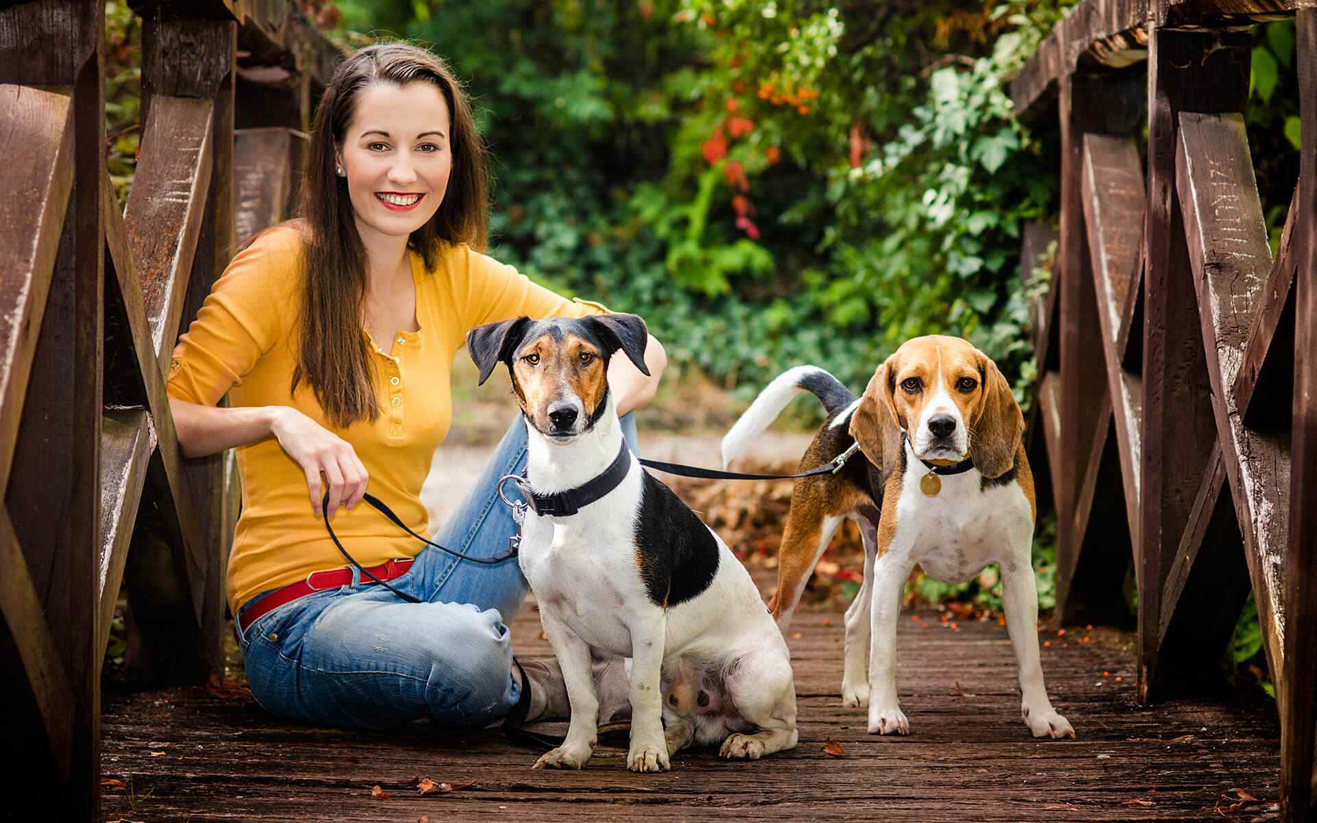 https://dev.aliciashouseofpaws.co.uk/wp-content/uploads/2018/09/post_02.jpg