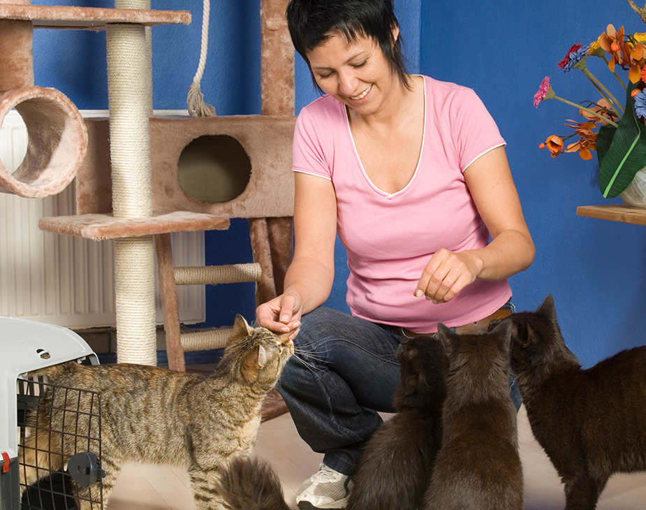https://dev.aliciashouseofpaws.co.uk/wp-content/uploads/2019/07/hero_image_09.png