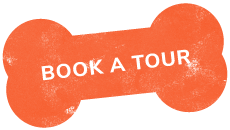 https://dev.aliciashouseofpaws.co.uk/wp-content/uploads/2019/07/text_03.png