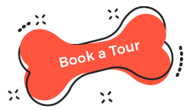 https://dev.aliciashouseofpaws.co.uk/wp-content/uploads/2019/08/book_tour.png