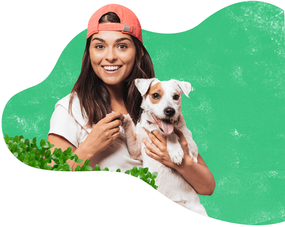 https://dev.aliciashouseofpaws.co.uk/wp-content/uploads/2019/08/hero_image_13.png